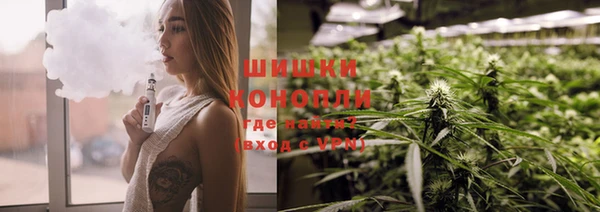 твердый Бронницы