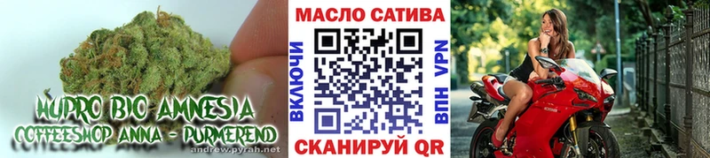 наркота Новоульяновск гидра как зайти ТГК жижа