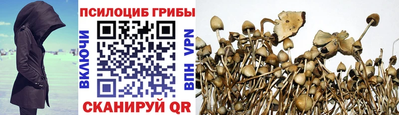 Галлюциногенные грибы мицелий  что такое   Новоульяновск 